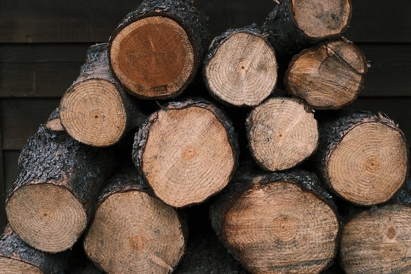 brown and black wood logs