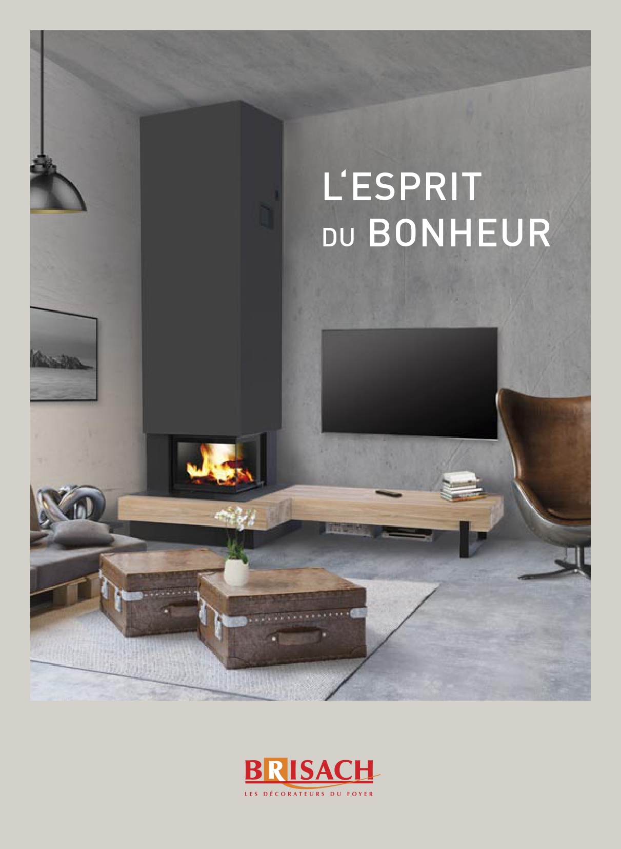 Catalogue insert et foyer BRISACH